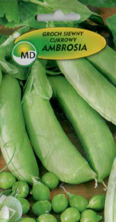 nakupujte polská semena zeleninových květin ve velkém