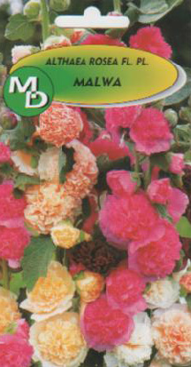 nakupujte polská semena zeleninových květin ve velkém